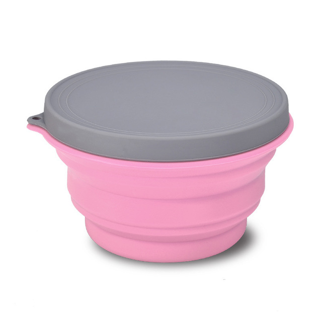 Travel silicone bowl